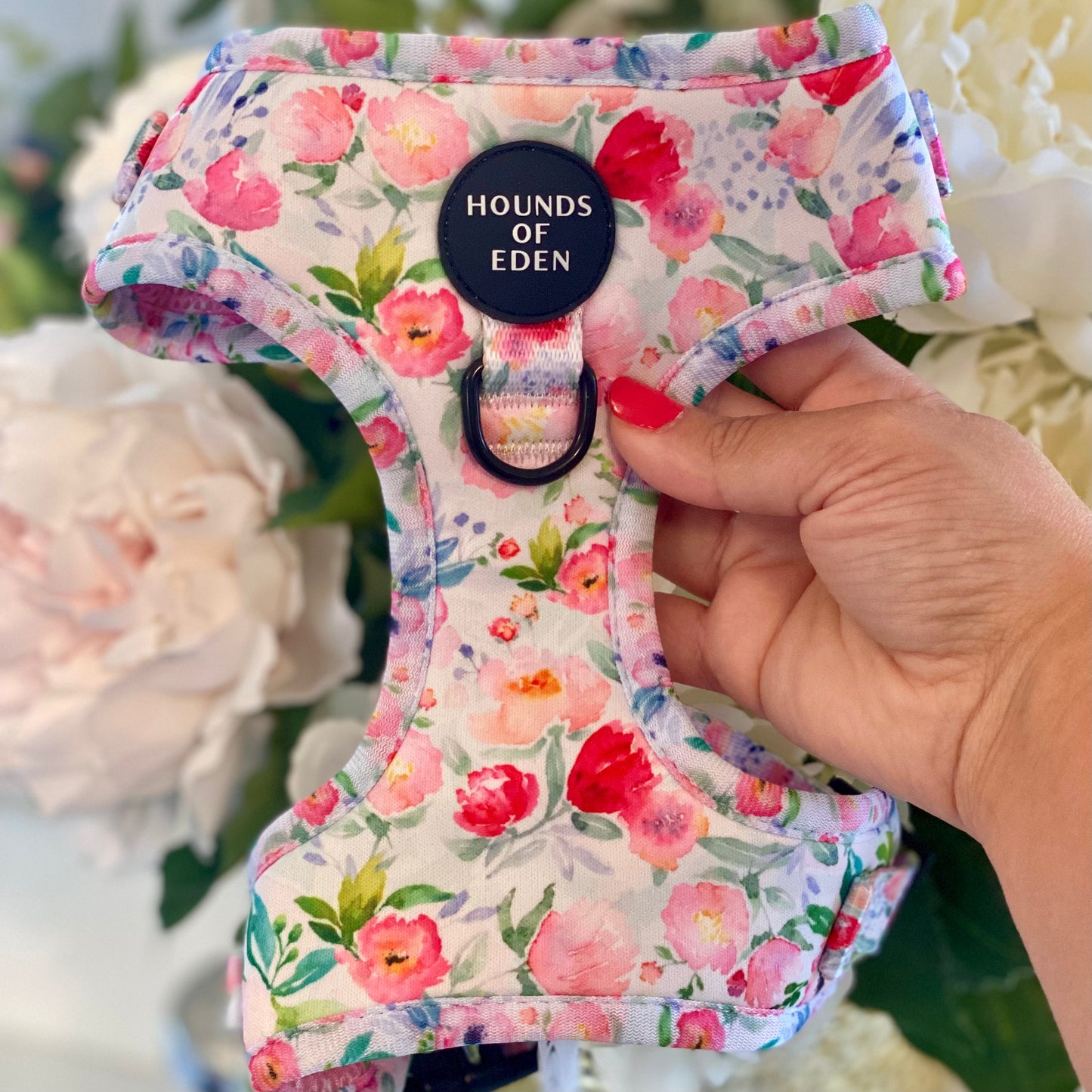 Ziggy's Secret Garden Design Dog Harness - The Bark Market