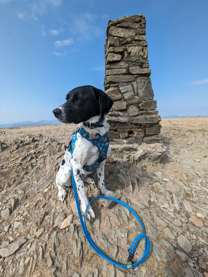 Lazy Sloth No Pull Tactical Dog Harness – Blue Teal Sloth Print, Adjustable, Step-In (Small-XL) 🦥 - The Bark Market