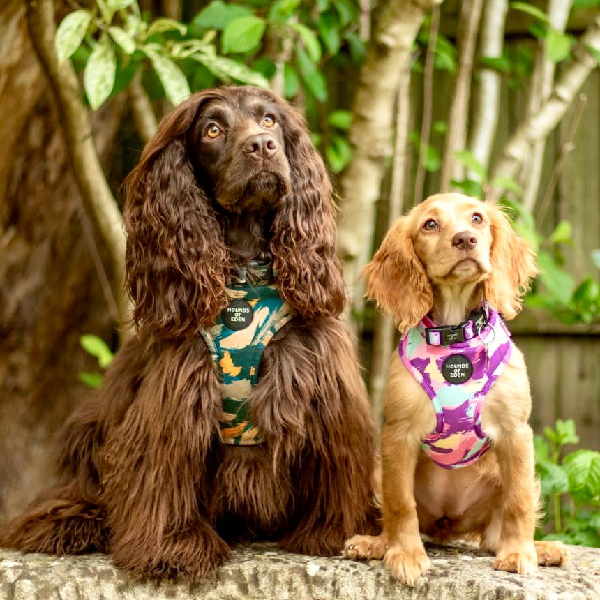 'Blush it Off' - Pink, Purple, Pastel Mint & Lemon Camo Pattern Dog Harness - The Bark Market