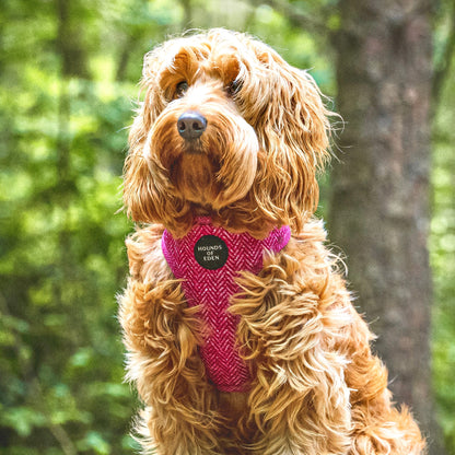 'Bella' - Pink Herringbone Dog Harness - The Bark Market