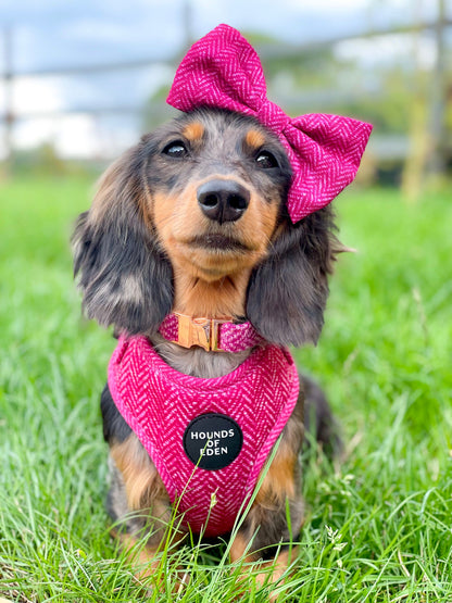 'Bella' - Pink Herringbone Dog Harness - The Bark Market
