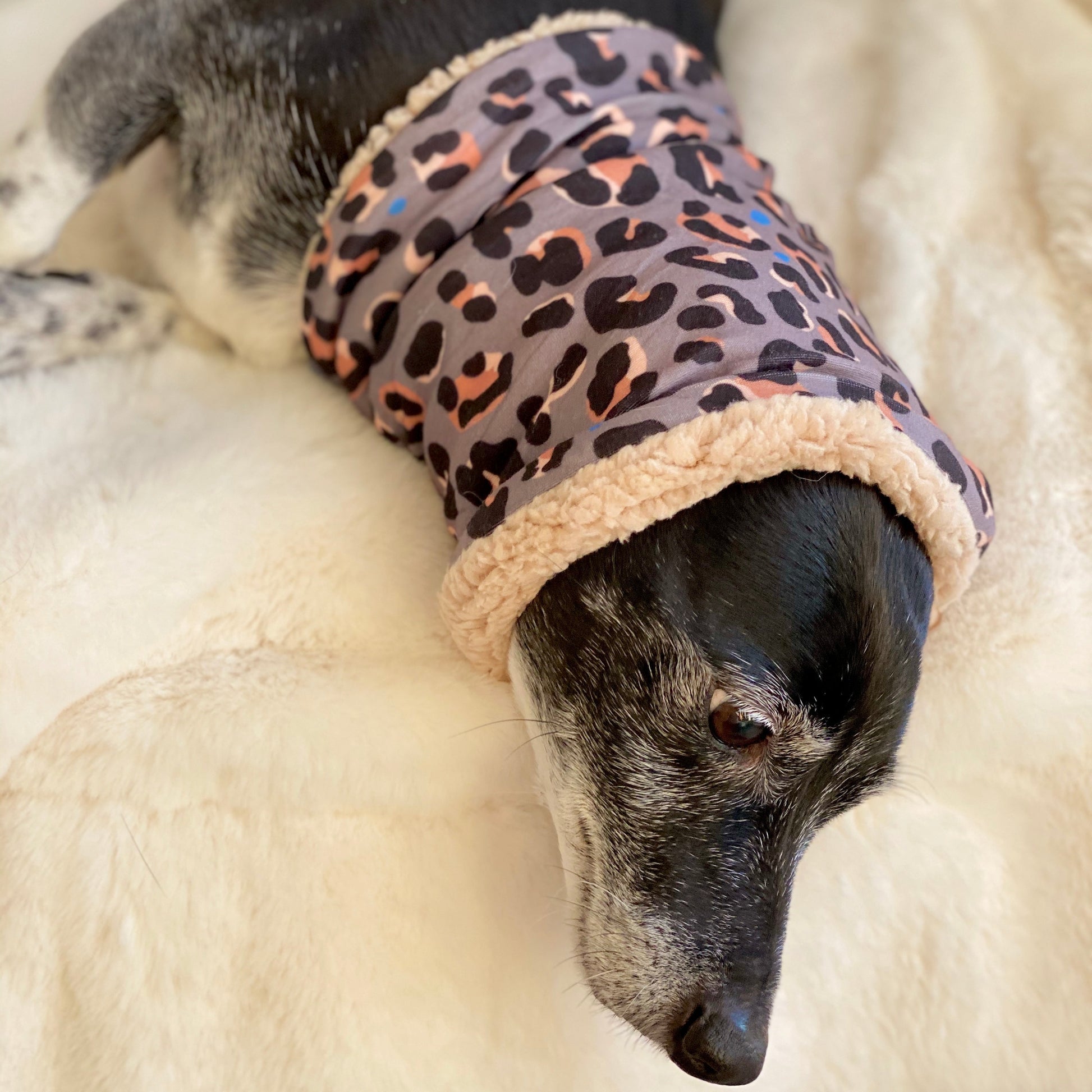 Steel Leopard Dog Snood - The Bark Market