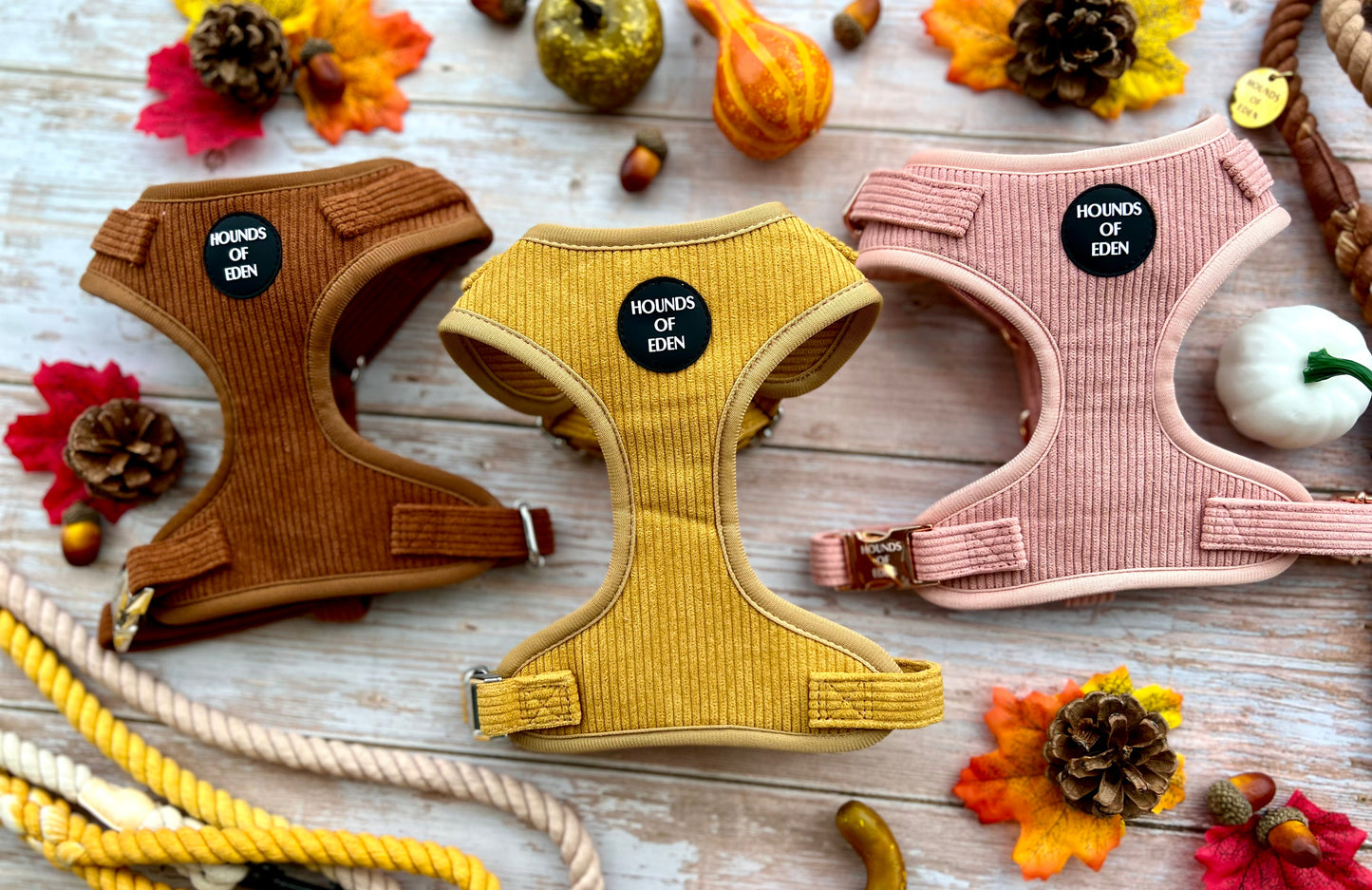 Mustard Yellow Corduroy Sailor Bow Tie - The Bark Market