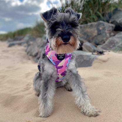 'Blush it Off' - Pink, Purple, Pastel Mint & Lemon Camo Pattern Dog Harness - The Bark Market