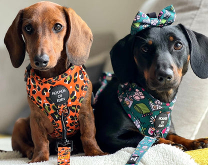 Self Care Design Dog Harness - The Bark Market