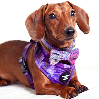 'Molly' - Purple tweed effect Poop/Treat Bag Holder - The Bark Market