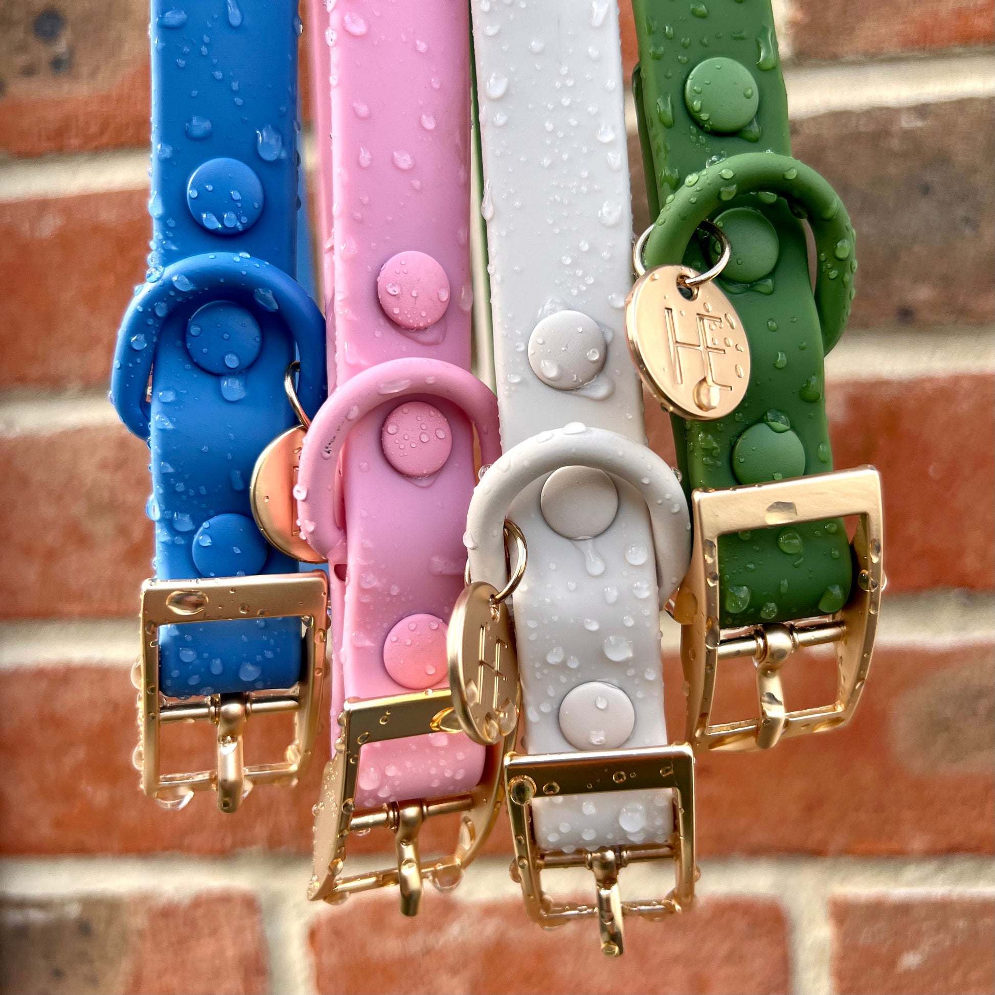 Forest Green 'All Weather'Dog Lead - The Bark Market