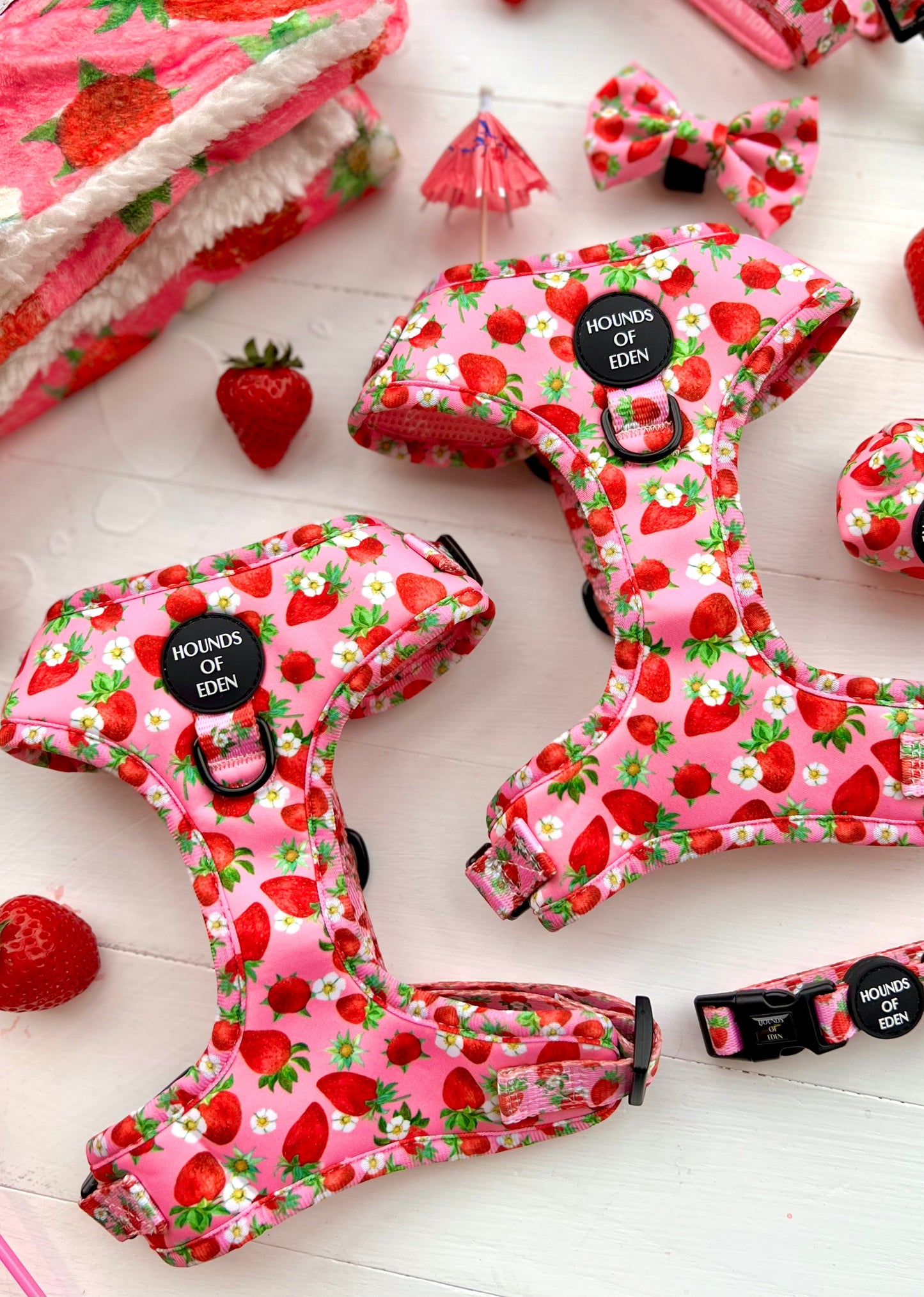 Strawberry Patch Design Dog Harness - The Bark Market