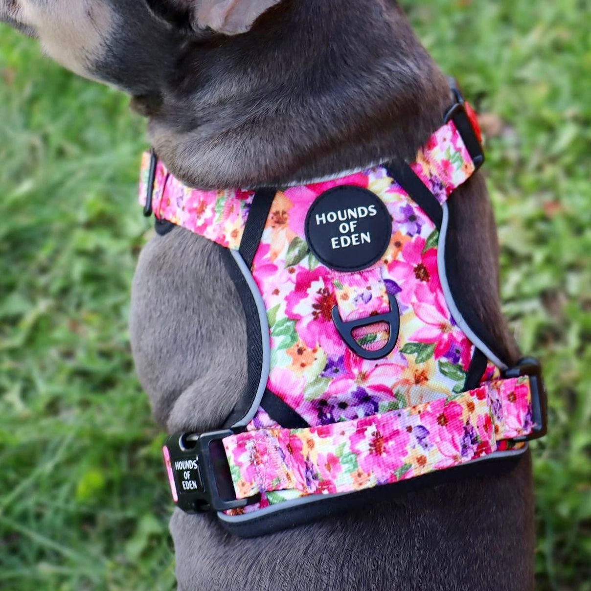Supaw Strong™ 'Steel Leopard' Utility Harness - The Bark Market