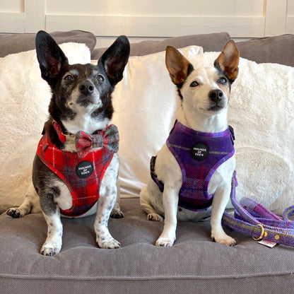 'Sammi' - Red & Grey Check Dog Harness - The Bark Market