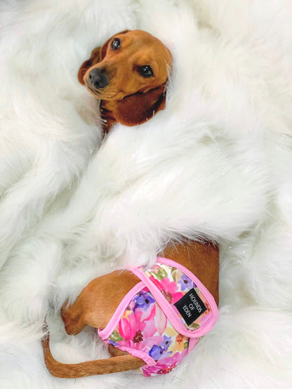 'Florentina' - Dog Season Hygiene Panties - The Bark Market