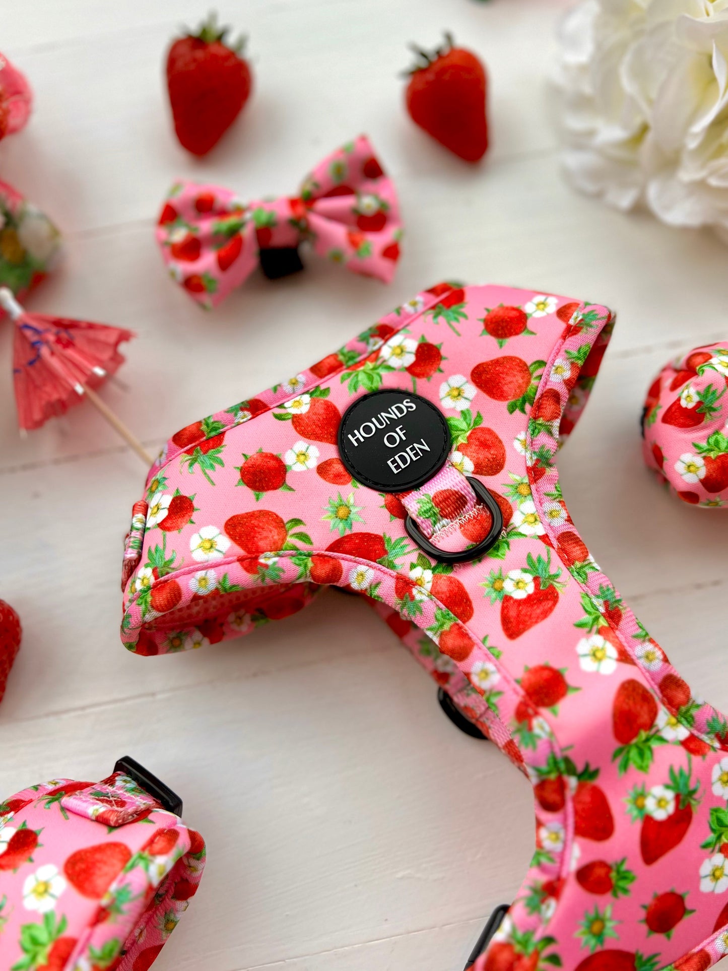 Strawberry Patch Design Dog Harness - The Bark Market