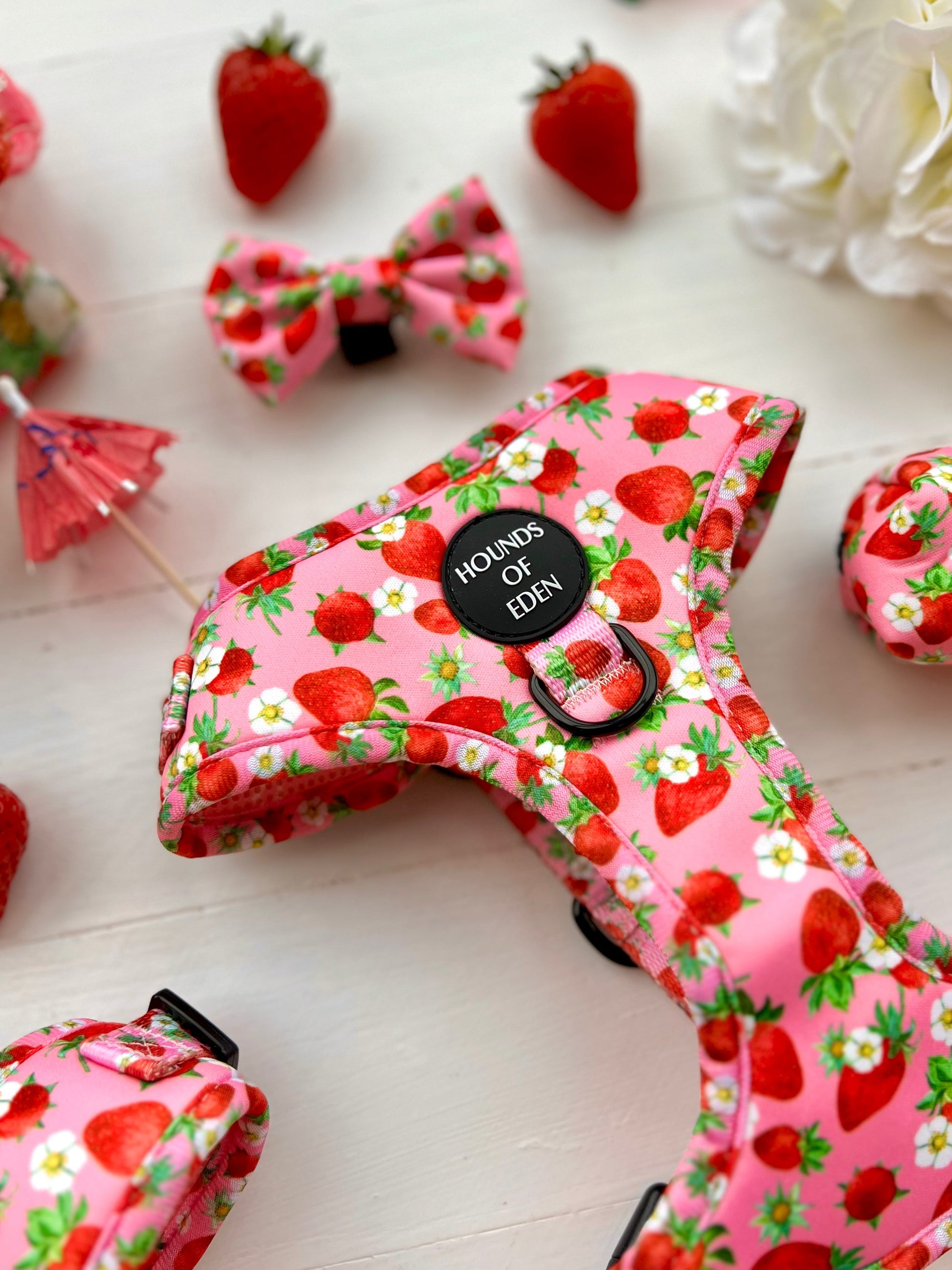 Strawberry Patch Design Dog Harness - The Bark Market