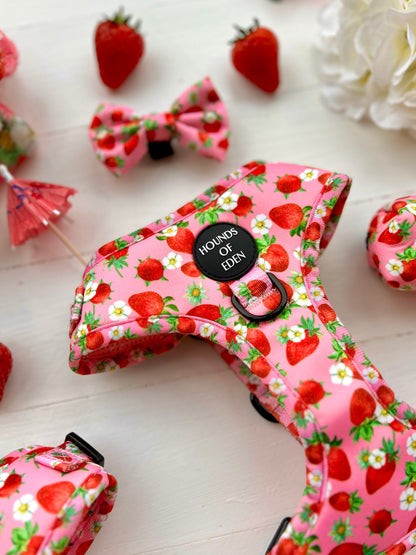 Strawberry Patch Design Dog Harness - The Bark Market