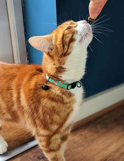 Inquisitive Fox Cat Collar - The Bark Market
