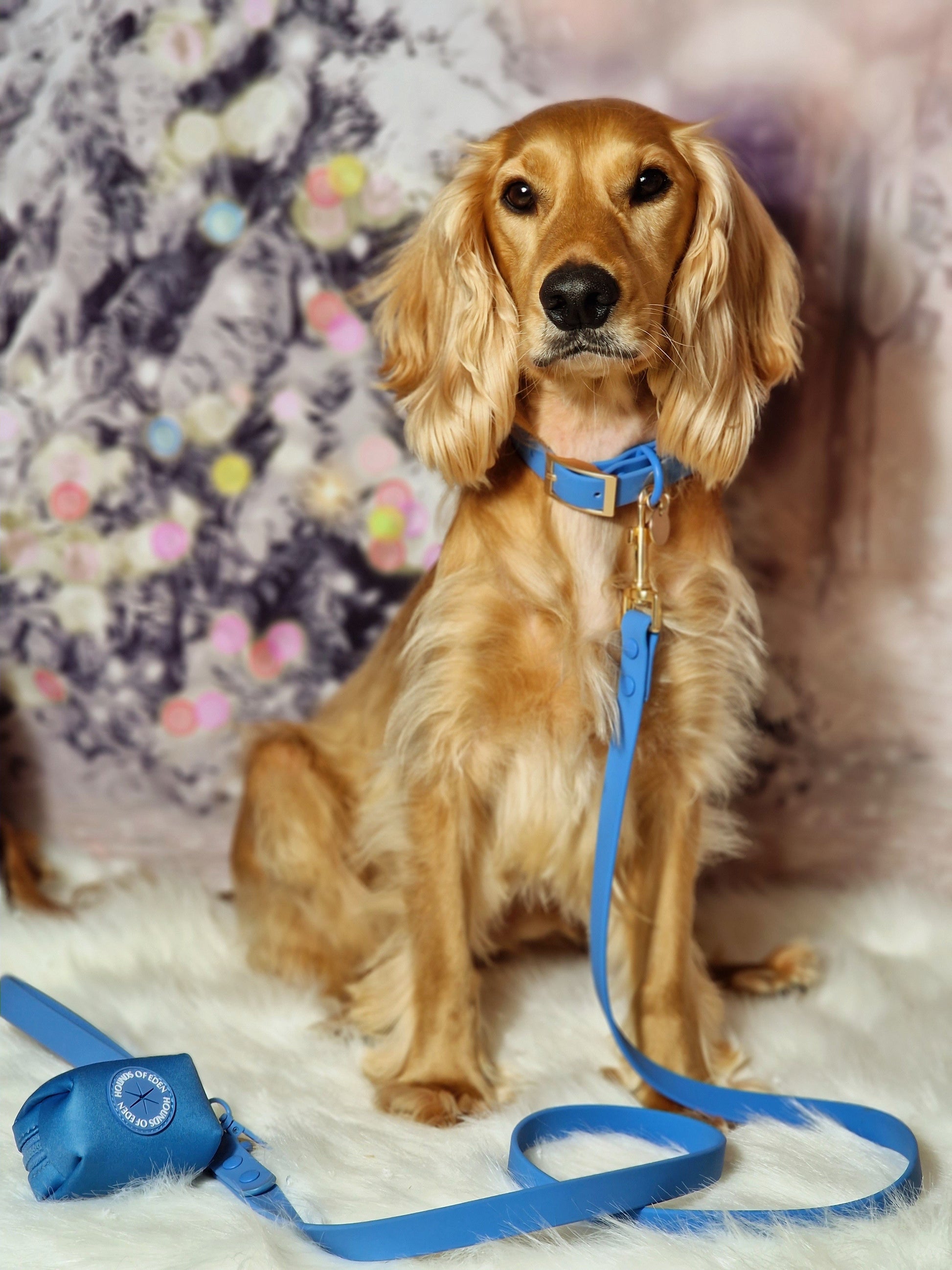 Lichen Blue 'All Weather' Dog Lead - The Bark Market