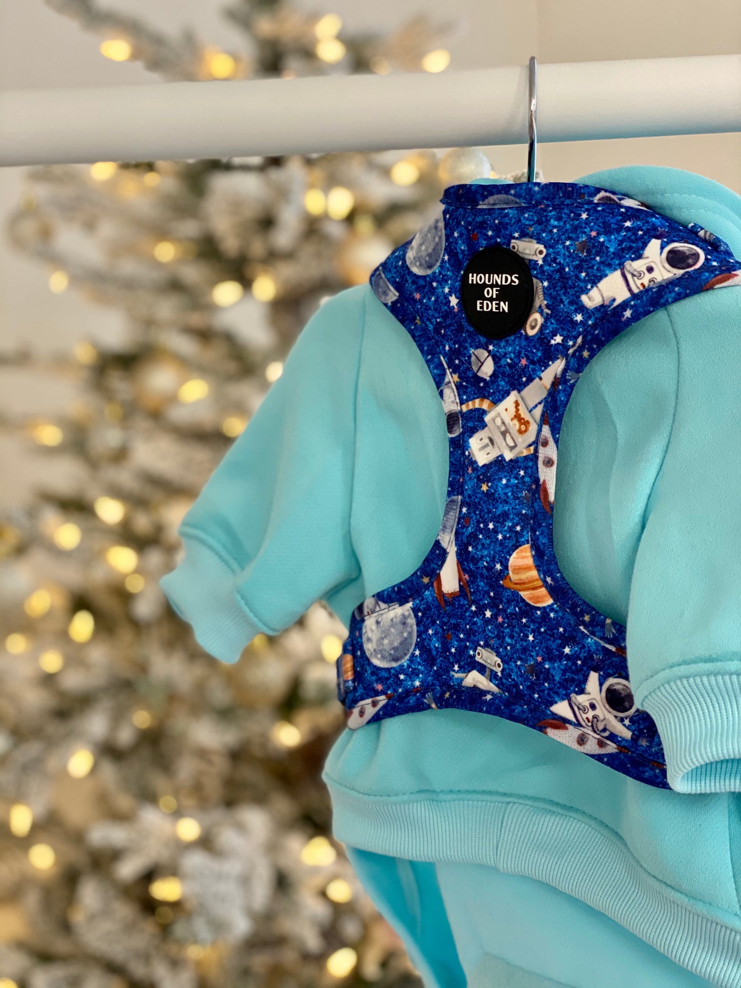 Dog Hoodie - Light Teal - The Bark Market