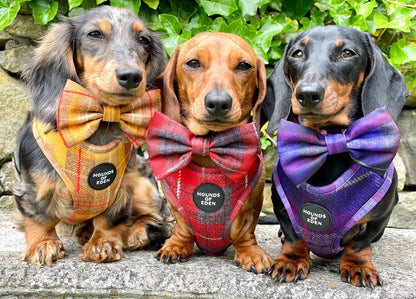 'Honey' - Yellow Check Dog Harness - The Bark Market