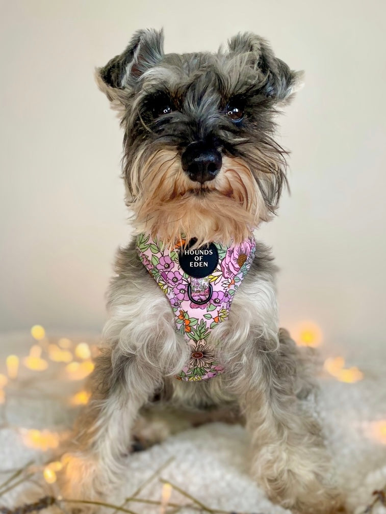 Wild Blossom - Design Poop Bag Holder - The Bark Market
