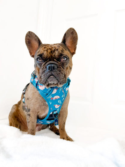 Lazy Sloth No Pull Tactical Dog Harness – Blue Teal Sloth Print, Adjustable, Step-In (Small-XL) 🦥 - The Bark Market