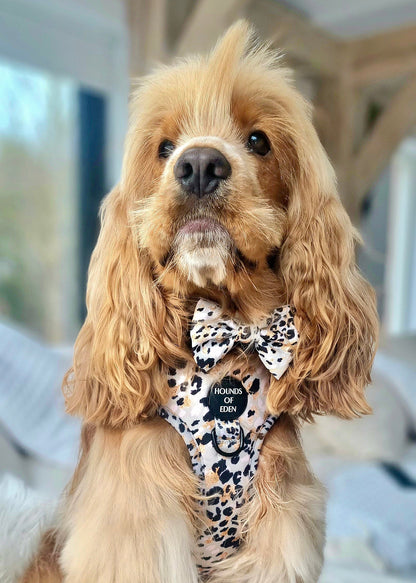 Sage Leopard Design Dog Harness - The Bark Market