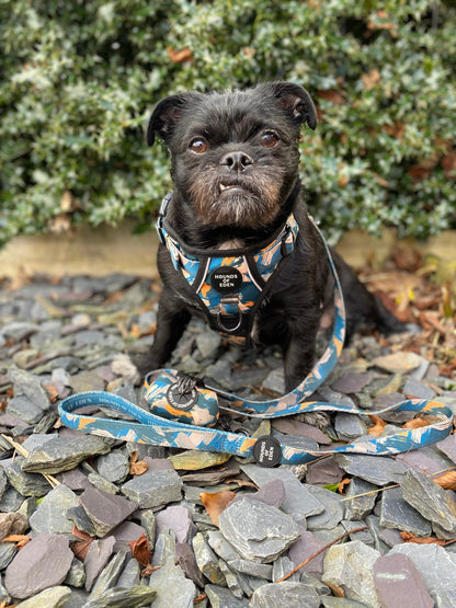 Supaw Strong™ 'Brush It Off' Utility Harness - The Bark Market