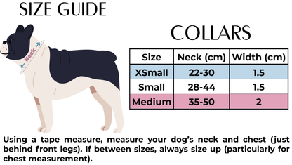 Teddy it's Cold Outside - Dog Harness - The Bark Market