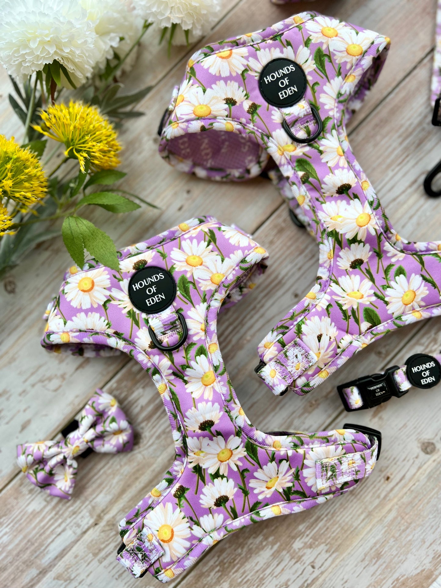 Daisy Dreams Design Dog Harness - The Bark Market