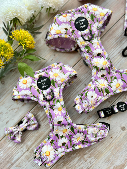 Daisy Dreams Design Dog Harness - The Bark Market