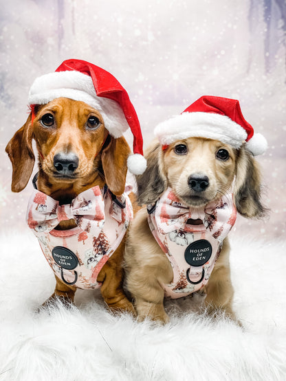 Arctic Wonderland - Dog Harness - The Bark Market