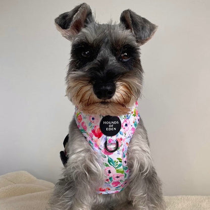 Ziggy's Secret Garden Design Dog Harness - The Bark Market