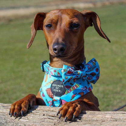 Grill 'n' Chill - Dog Harness - The Bark Market