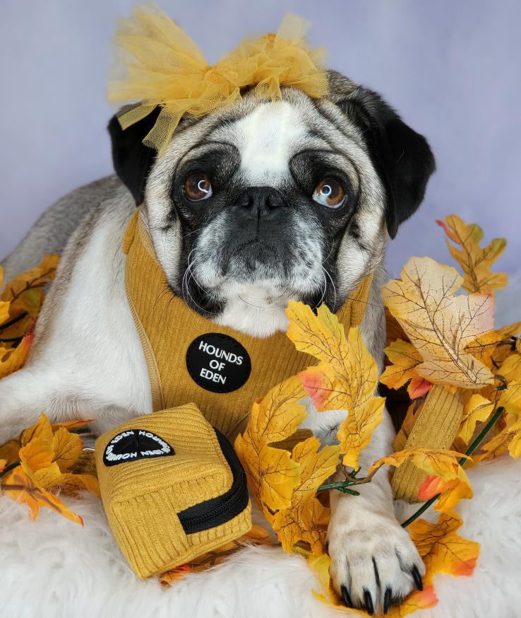 Mustard Yellow Corduroy Harness - The Bark Market
