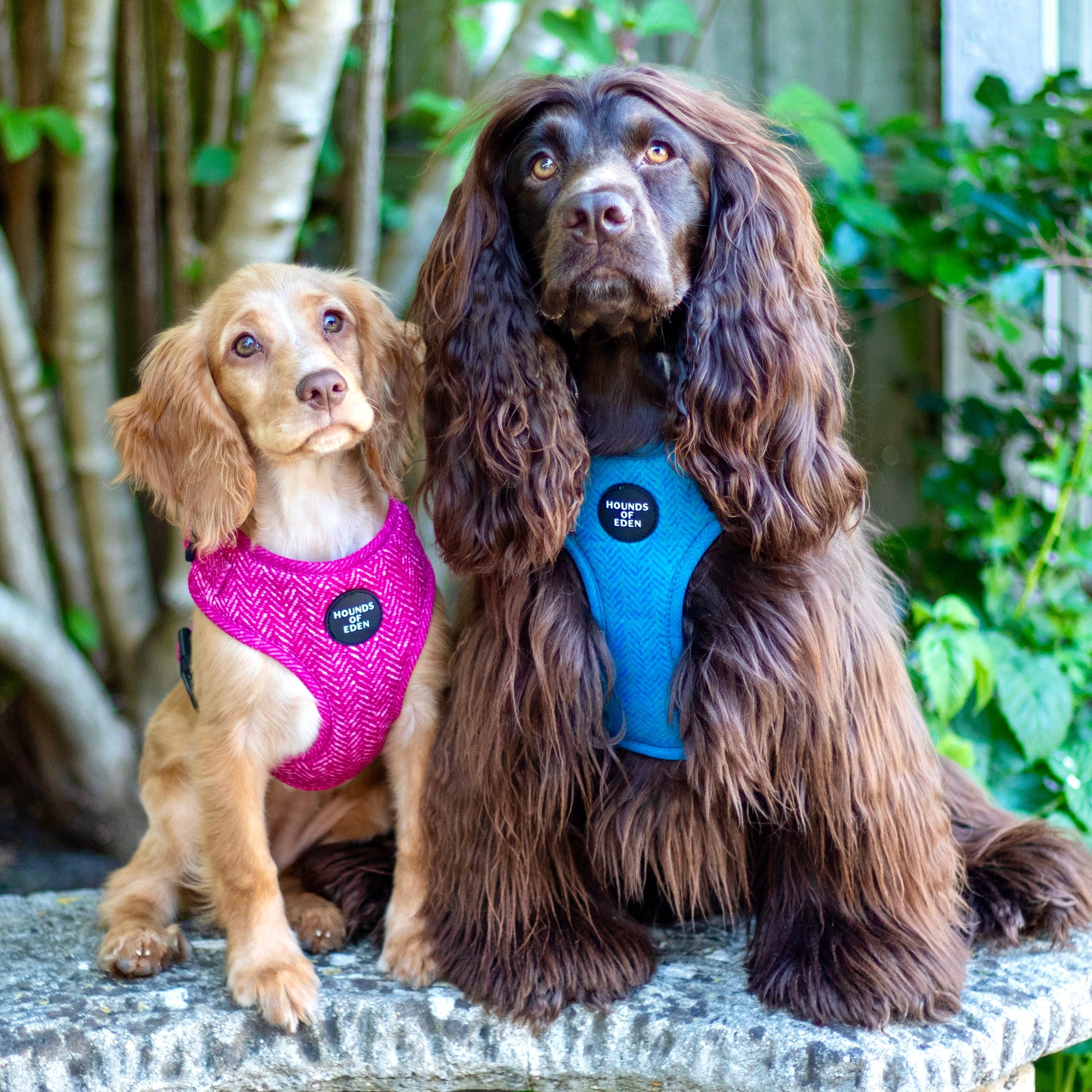 'Bruce' - Blue & Teal Herringbone Dog Harness - The Bark Market