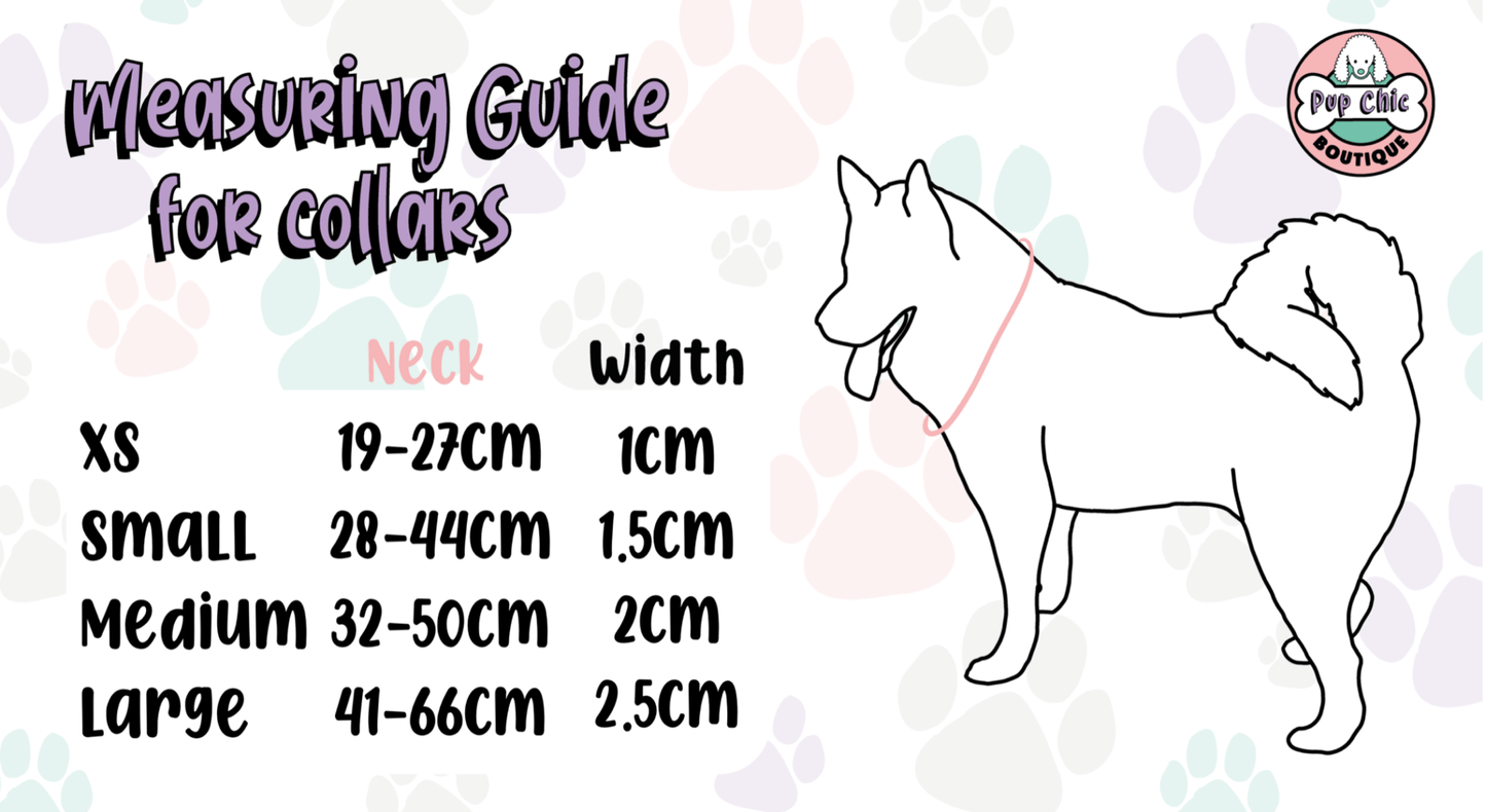 Inquisitive Fox Collar