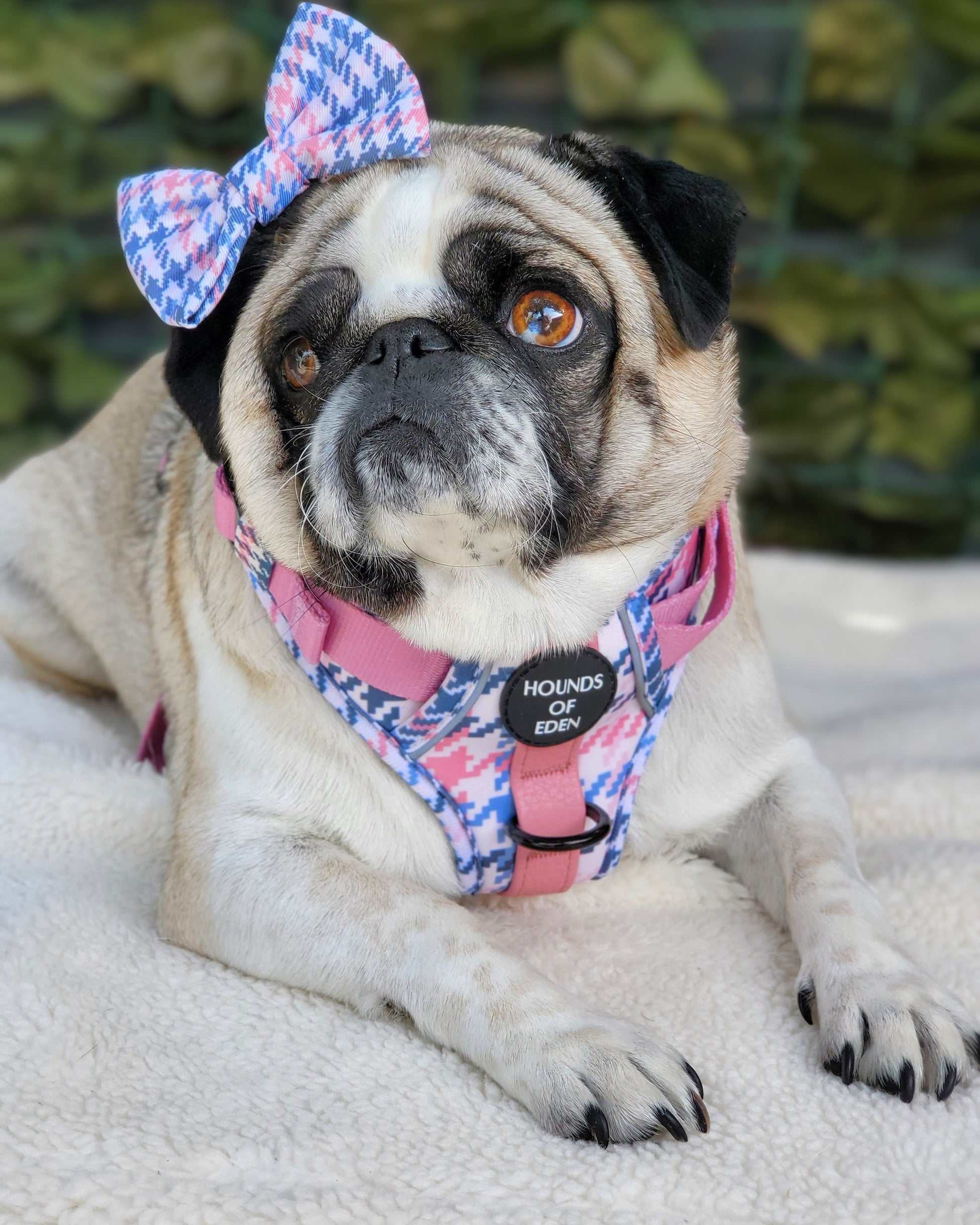 Pink Houndstooth Dog Supaw Strong Lite™ Harness (XS-XL) - The Bark Market