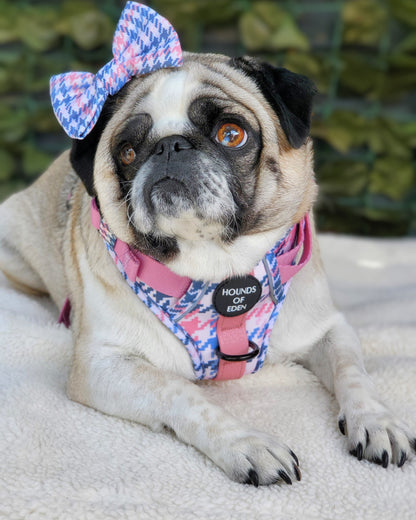 Pink Houndstooth Dog Supaw Strong Lite™ Harness (XS-XL) - The Bark Market