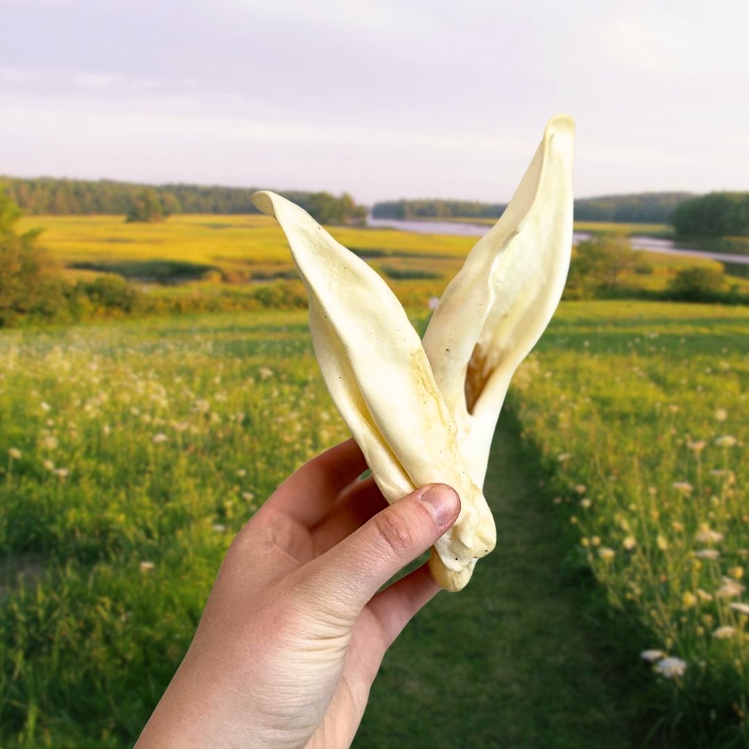 Lamb Ears 100% Natural Dog Treat - The Bark Market