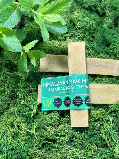 Mint Yak Dog Chew - The Bark Market