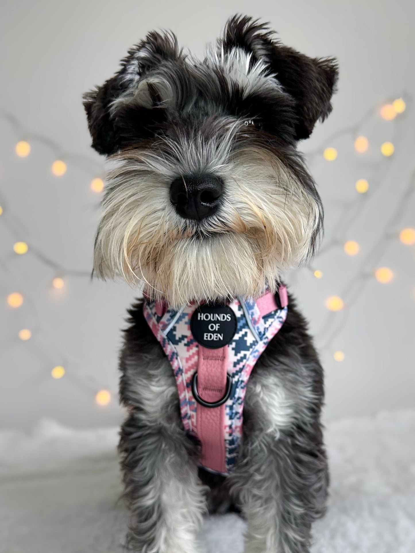Pink Houndstooth Dog Supaw Strong Lite™ Harness (XS-XL) - The Bark Market
