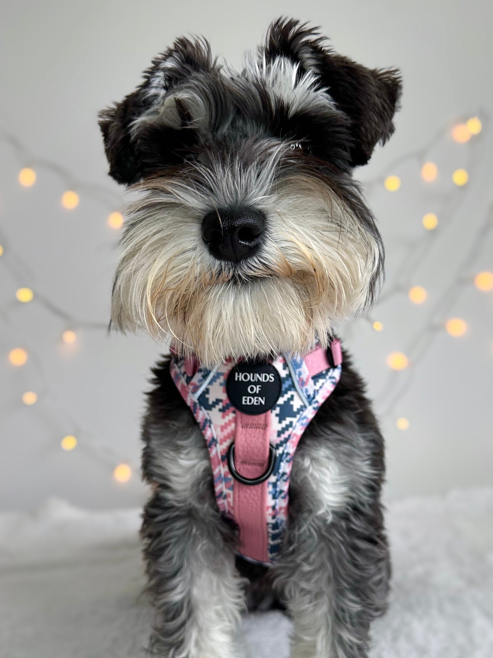 Pink Houndstooth Dog Supaw Strong Lite™ Harness (XS-XL) - The Bark Market