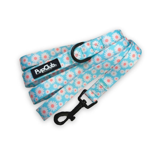Lead - Pastel Daisys - The Bark Market