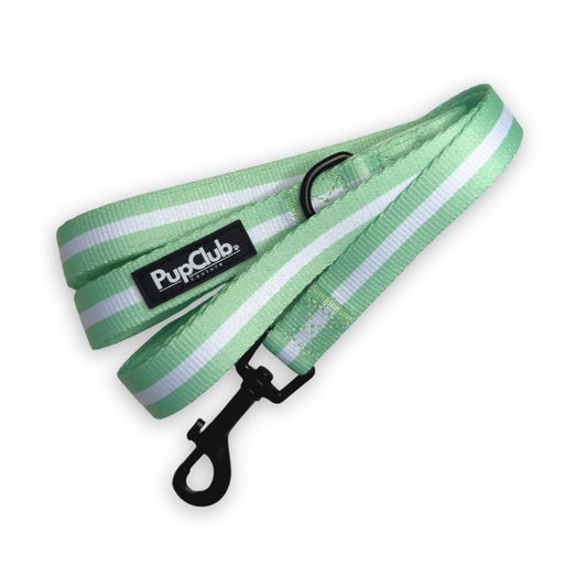 Lead - Pastel Green - The Bark Market