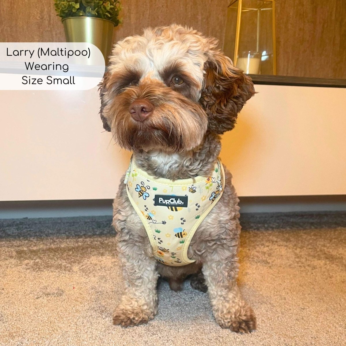 Adjustable Harness - Bee-utiful Summer - The Bark Market