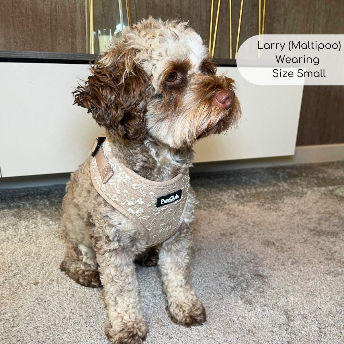 Luxe Adjustable Harness - Toffee Latte Petals - The Bark Market