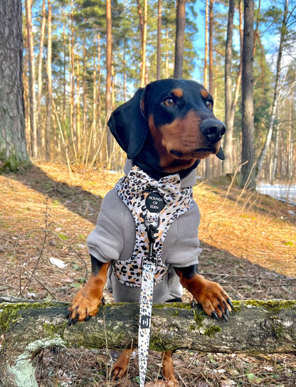 Dog Hoodie - Black - The Bark Market