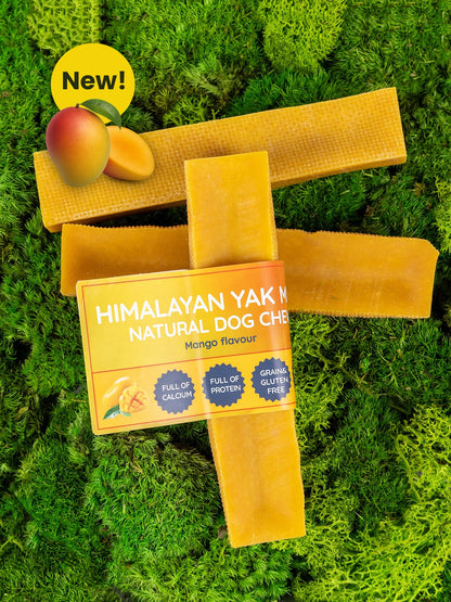 Mango Yak Dog Chew - The Bark Market