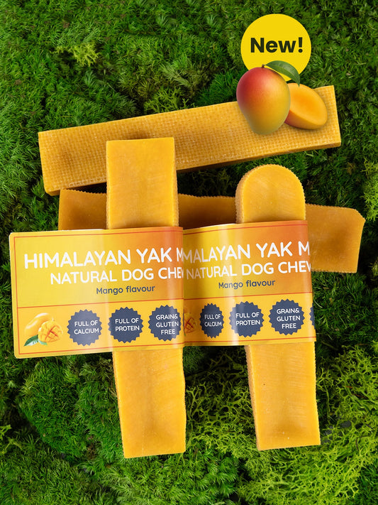 Mango Yak Dog Chew - The Bark Market