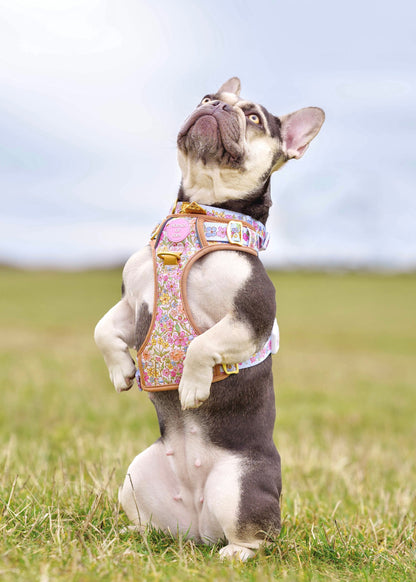 Pastel Petals - Supaw Strong™ Dog Harness (XS-XL) - The Bark Market