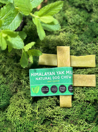 Mint Yak Dog Chew - The Bark Market